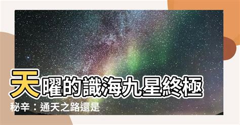 識海九星|【識海九星是什麼】探索識海奧秘：天曜與雁回揭露識海九星的驚。